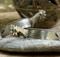 One-Piece Rasp Spurs with Rope Accent